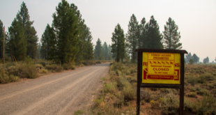 US Forest Service closes national forests in California due to fire risk