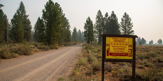 US Forest Service closes national forests in California due to fire risk