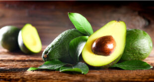 US suspends avocado imports from Mexico "until further notice"