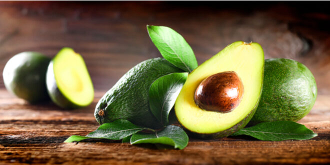 US suspends avocado imports from Mexico "until further notice"