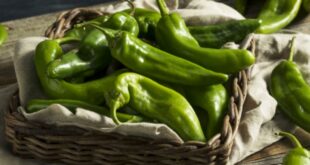 Hatch Chile roasting events coming to Stater Bros. Markets