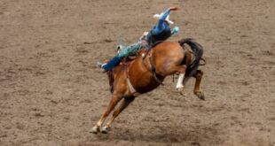 San Bernardino County Sheriff's Rodeo returns to Glen Helen Sept. 27