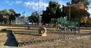 San Bernardino clears encampment at Bobby Vega Park