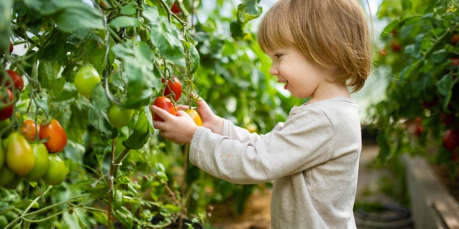 Food bank’s free children’s health and nutrition classes are back