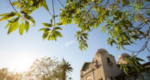 Arbor Day Foundation names San Bernardino a Tree City