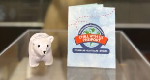 San Bernardino Museum introduces new Summer Passport Program