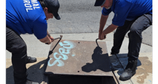 San Bernardino Animal Services Rescue Dog Trapped in Storm Drain